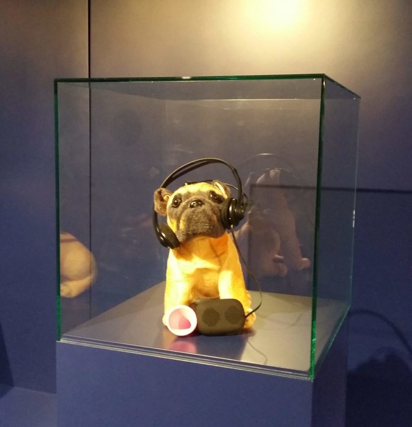 Gerät, das Hundesprache in echte Sprache übersetzt