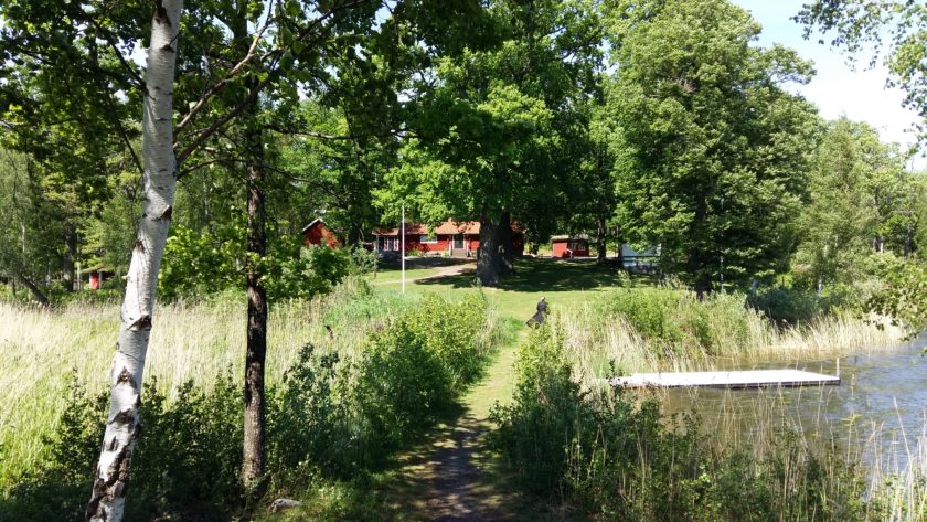 Kleine, rote Häuschen zwischen Birken am See - so sieht der Schwedentraum aus.