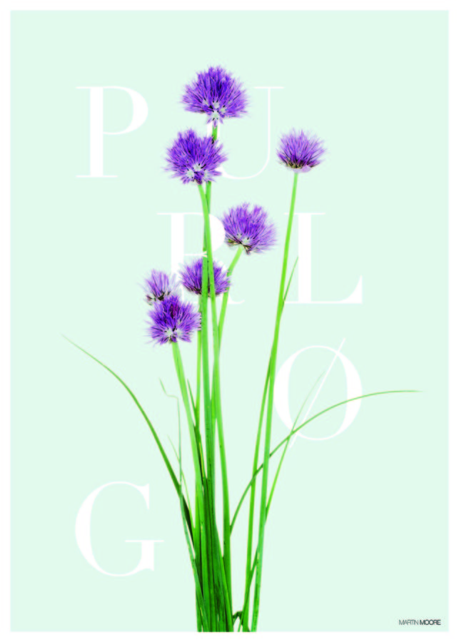 Martin Moore_purløg