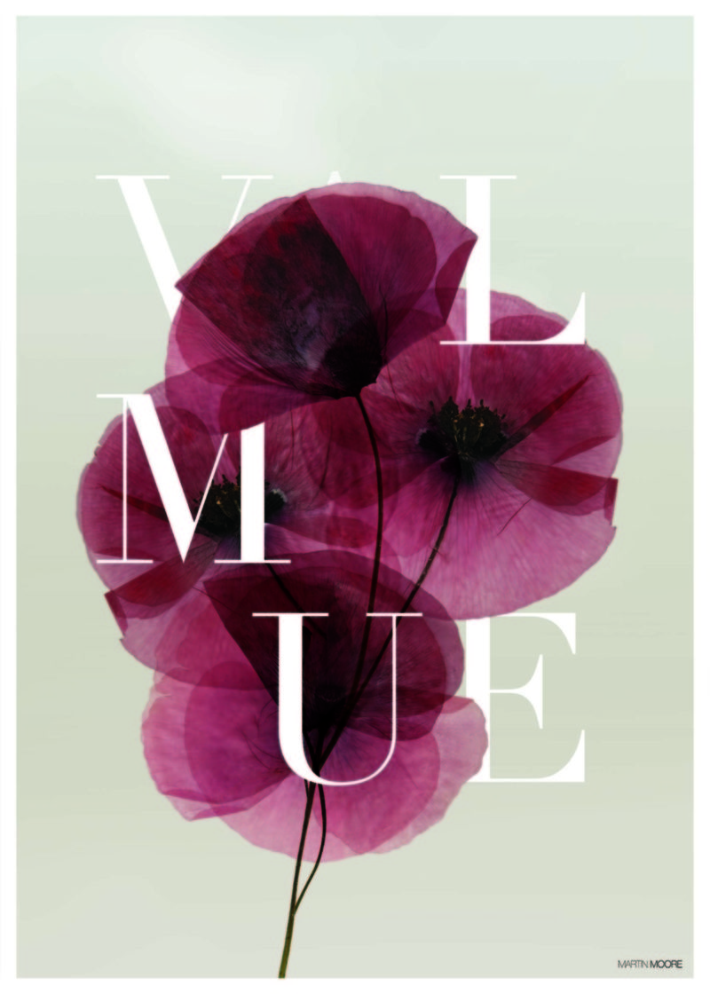 Diese Bilder bringen Natur ins Haus